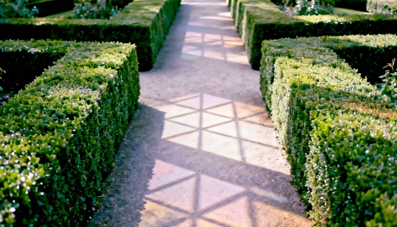 A hyper-realistic, professional photograph in the style of a House & Garden magazine feature. The image showcases an immaculate formal garden path at a British stately home, lined with a perfectly clipped, low Box hedge. The leaves are a deep, glossy green, catching the soft, overcast light, and the lines of the hedge are sharp and precise. The mood is one of timeless elegance, order, and classical design.