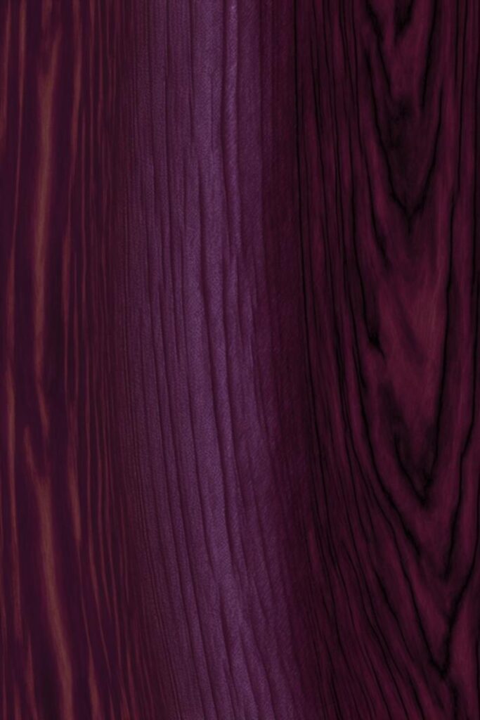 Purpleheart illustration