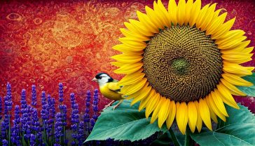 The image captures a classic British cottage garden in late summer under soft, warm afternoon light. In the foreground, a magnificent 'Russian Giant' sunflower, its head heavy with seeds, stands tall and slightly droops. A small garden bird, like a goldfinch, is perched on the edge of the flowerhead, pecking at the seeds. The background shows a charming, slightly weathered brick wall and a blur of other traditional English garden flowers like lavender and roses. The overall mood is idyllic, peaceful, and quintessentially British.
