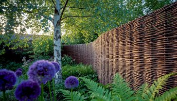 A hyper-realistic, professional photograph in the style of a Gardens Illustrated feature. The image shows a beautifully crafted hazel wattle fence panel forming a gentle curve in a lush, contemporary British garden in early summer. Soft, golden-hour light filters through the leaves of a silver birch tree, highlighting the rustic texture and varied brown tones of the woven hazel. In the foreground, purple alliums and soft green ferns blur slightly, leading the eye to the fence. The composition is clean and inviting, evoking a sense of natural, sustainable, and stylish modern living. The mood is tranquil, aspirational, and deeply connected to nature.