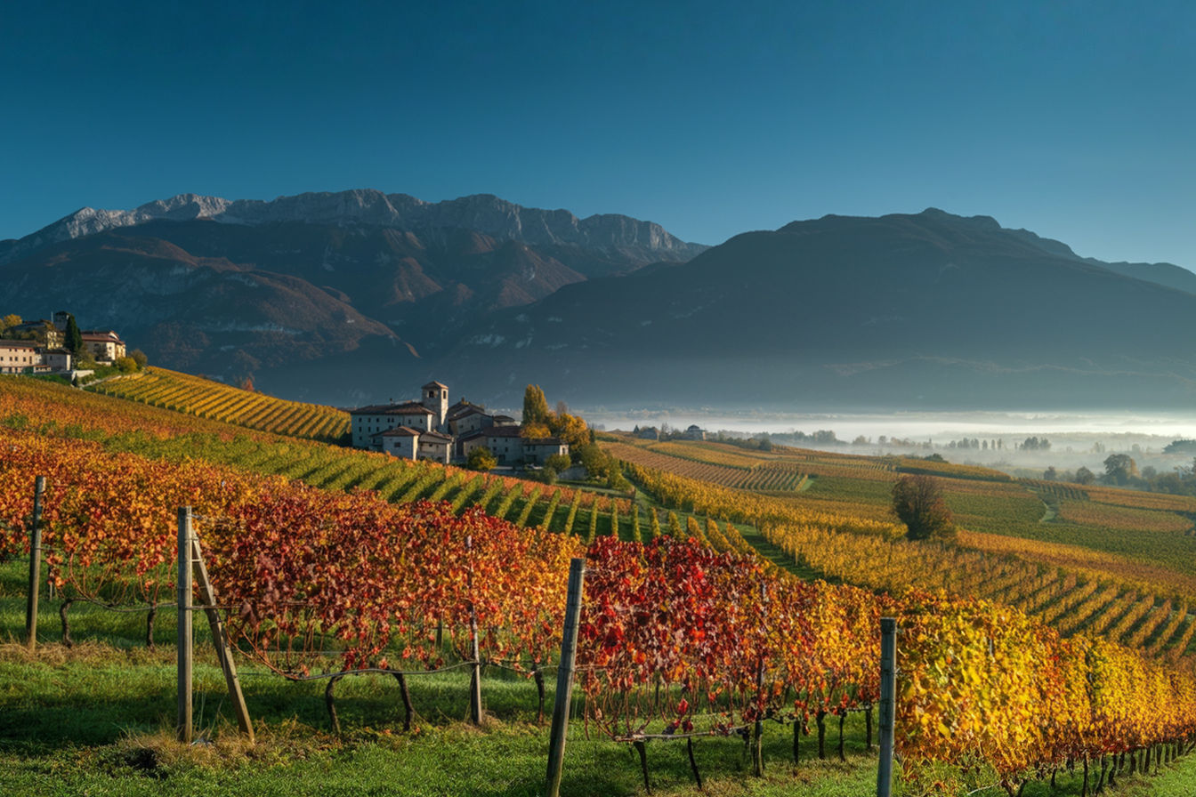 A panoramic photo of hillside vineyards in Collio with rows of vines in the foreground displaying early autumn colors of gold and crimson. The Julian Alps rise dramatically in the background under a clear blue sky, while ancient stone buildings of a small village are nestled among the vineyards. Early morning light casts a golden glow across the landscape, highlighting the diverse microclimates of this unique wine region where Alpine and Mediterranean influences converge. The image should capture both the spectacular natural beauty and the human element that has shaped this distinctive wine territory over centuries.