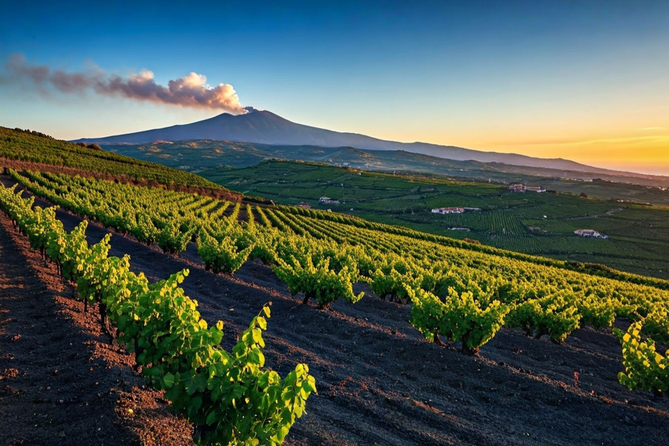 An evocative sunset view of terraced vineyards on the slopes of Mount Etna with wisps of volcanic smoke visible from the peak. In the foreground, gnarled old bush vines of Nerello Mascalese stand against the volcanic soil, while the Mediterranean Sea shimmers in the distance. The golden evening light illuminates rows of vines stretching across different elevations of the volcano, showcasing Sicily's dramatic viticultural landscape where ancient tradition meets modern winemaking.