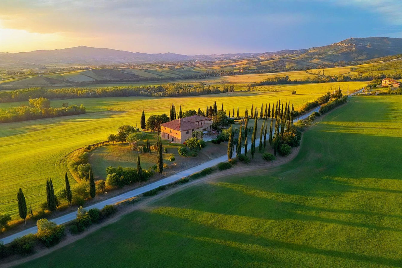 A panoramic view of the Umbrian countryside at sunset, showing rolling hills covered with vineyards, cypress trees, and a medieval hilltop town in the distance. Golden light bathes the landscape, highlighting the lush green vines against the region's distinctive soil.