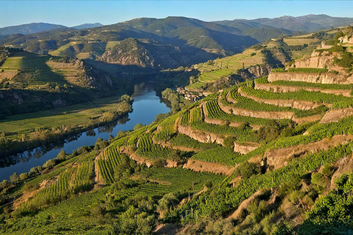 A panoramic photo of terraced vineyards clinging to slate-rich hillsides along the Sil River valley in Valdeorras, captured in golden late afternoon light. Ancient stone walls divide vineyard plots with gnarled old vines in the foreground, while mountains rise dramatically in the background beneath a vast Galician sky. The image should convey both the rugged beauty of the landscape and the human imprint of centuries of viticulture.
