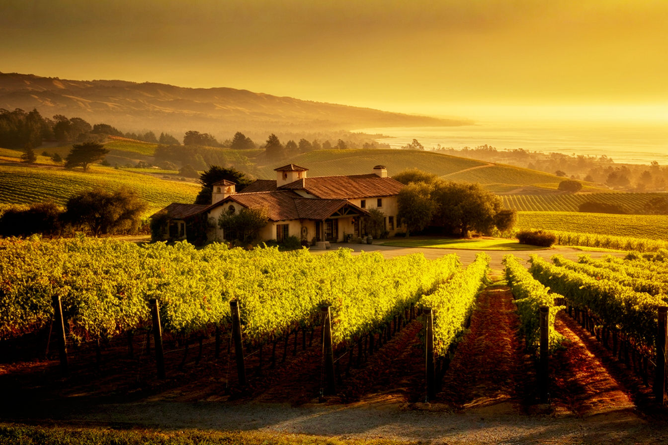 Lifelike, pro photography style image of a sun-drenched vineyard in California's Central Coast during late afternoon. Rolling hills with rows of grapevines, some green, some with hints of autumn gold. In the mid-ground, a rustic but elegant mission-style winery building. The Pacific Ocean is subtly visible in the distant background under a hazy, golden sky. Focus on the interplay of light and shadow, emphasizing the beauty and agricultural richness of the region. Warm, inviting, and slightly dramatic lighting.