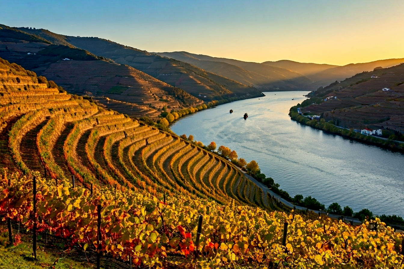 Lifelike, professional photograph of the Douro Valley wine region in Portugal at sunset. Show steep, terraced vineyards cascading down to the winding Douro River. The light should be golden and warm, highlighting the autumn colors of the vines (reds, oranges, yellows). Include a traditional Rabelo boat on the river in the mid-ground, subtly placed. The overall mood should be serene, majestic, and inviting. Focus on sharp details, rich textures, and a sense of depth. Shot with a high-quality DSLR, golden hour lighting, slight aerial perspective looking down the valley.