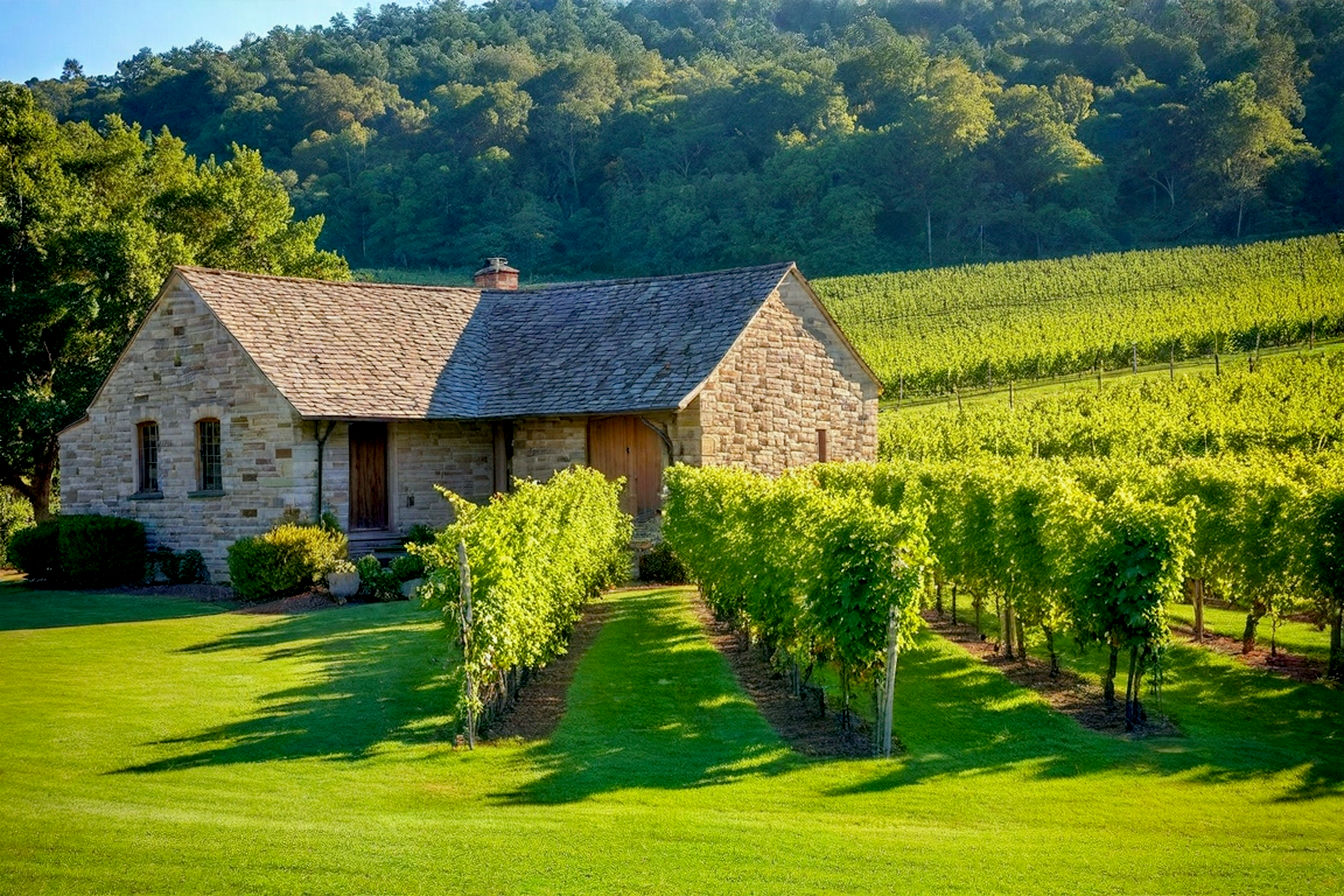 Lifelike, pro photography style image of a sun-dappled Tennessee vineyard in late summer. Rolling hills with neat rows of grapevines, some showcasing ripe bunches of purple and green grapes. In the mid-ground, a charming, slightly rustic winery building with a welcoming porch. The lighting should be warm, golden hour sunlight, creating long shadows and highlighting the lush greenery. The overall mood is serene, inviting, and evocative of the bounty of a harvest season in the American South. Focus on realistic textures of leaves, grapes, and wooden elements of the winery. No people in the shot.