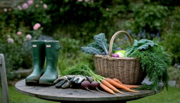 A hyper-realistic photograph in the style of a feature in Country Life magazine. The image shows a beautifully weathered wooden garden table, slightly off-centre. On the table rests a muddy pair of high-quality green wellington boots, a traditional Sussex Trug basket overflowing with freshly harvested, colourful organic vegetables (carrots with green tops, deep red beetroot, and leafy kale), and a pair of worn gardening gloves. In the background, an idyllic and quintessentially British country garden is softly out of focus, with climbing roses on a stone wall and lush green foliage. The lighting is the soft, warm glow of a late British afternoon, creating a mood of peaceful, authentic, and satisfying contentment.