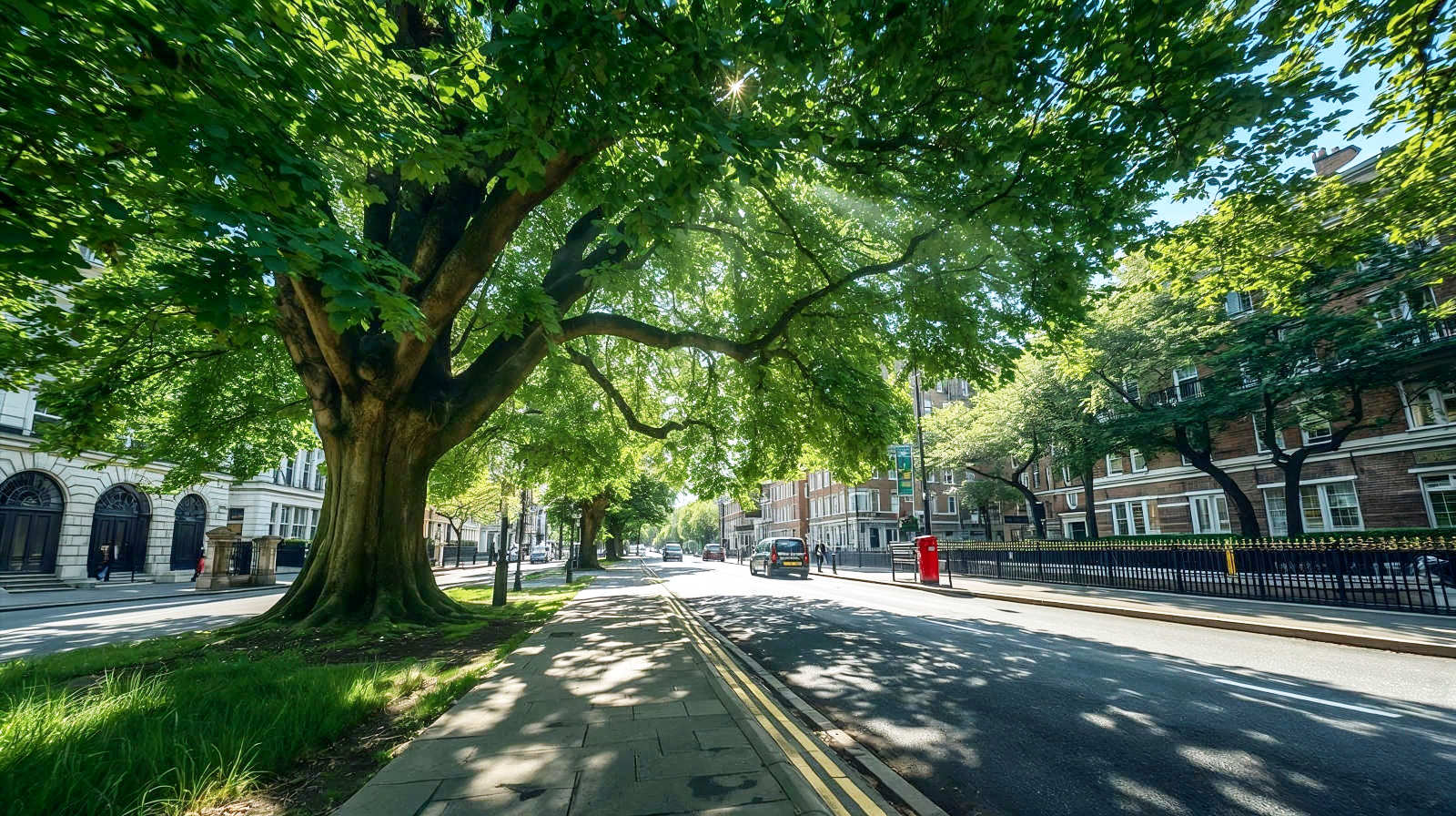 A hyper-realistic, street-level photograph set in a bustling UK city (like London or Manchester) on a hot summer day.
Subject: The contrast between "heat island" and "nature's shade."
Composition: A perspective shot down a pavement. On the left, a massive, ancient London Plane tree casts deep, dappled shade over pedestrians who look cool and relaxed. On the right, an unshaded tarmac road shimmers with visible heat haze distortion.
Details: Sunbeams filtering through the canopy (creating the "Komorebi" effect), hitting a red post box or a black cab to ground it in British identity.
Mood: Relieving, refreshing, and vital.
Lighting: High-contrast summer sun, but soft and inviting within the tree's shadow.
Palette: Cool emerald greens of the leaves contrasting with the harsh, hot greys and asphalt blacks of the road.

